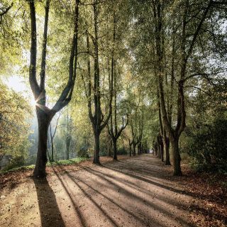 4 passi nel verde