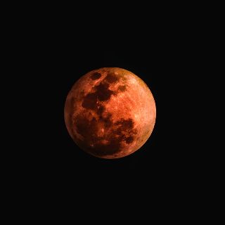 Luna rossa nel bosco