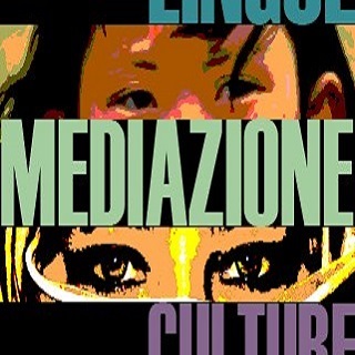 Indagine mediazione interculturale