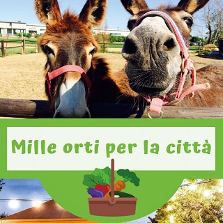 Mille Orti… da coltivare