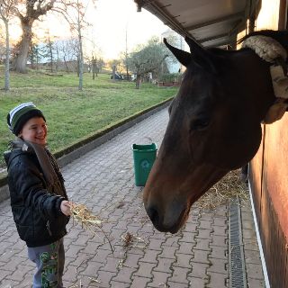 Natale in villa 2016