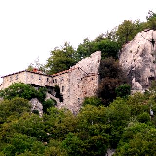 Notte rosa con Umana dimora