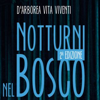 Notturni nel bosco