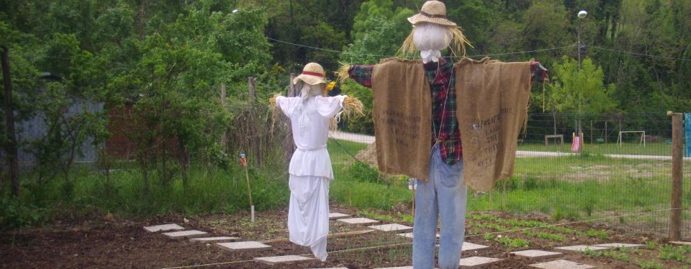 Chi semina… raccoglie