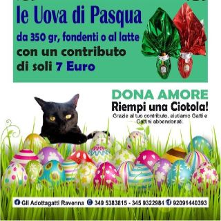 Pasqua con gli Adottagatti