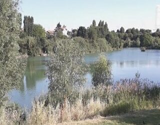 Passeggiata in natura