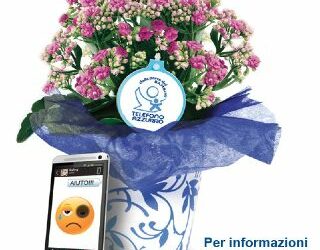 Fiori d’azzurro 2018
