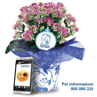 Fiori d’azzurro 2018