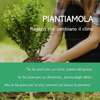 Piantiamola…