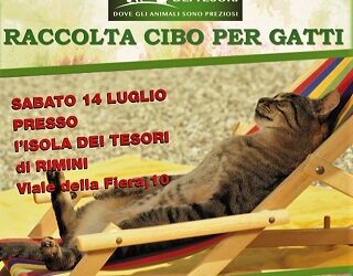 Sos gatti Arcabaleno