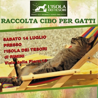 Sos gatti Arcabaleno