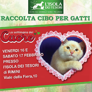 Settimana del cuore