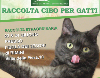 Raccolta straordinaria cibo per gatti