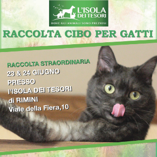Raccolta straordinaria cibo per gatti