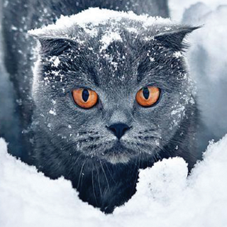 Brr…che freddo!