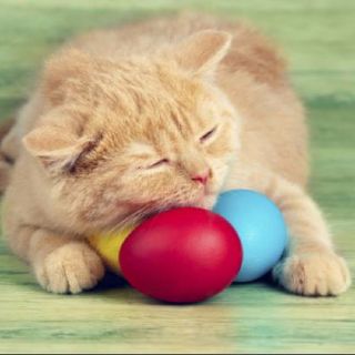 È Pasqua anche per loro