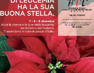 Le stelle di Natale
