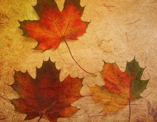 Sapori d’autunno