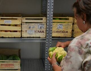 Stili di vita e sana alimentazione