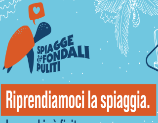 Cesenatico e Ravenna: spiagge pulite