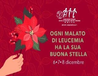 Stelle di Natale