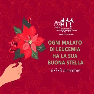 Stelle di Natale
