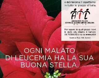 Una stella per l’Ail