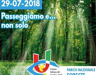 Passeggiando… “al buio”