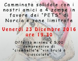 Una zampa per Norcia