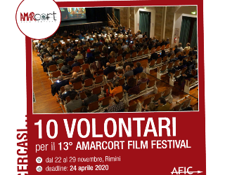 Volontari al cinema