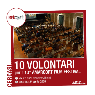 Volontari al cinema