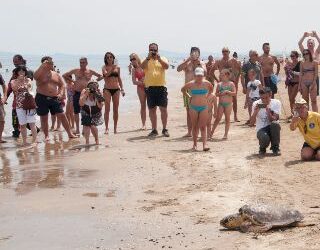 I volontari delle tartarughe marine