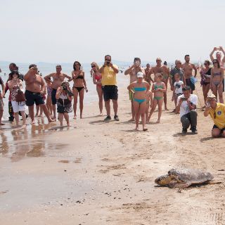 I volontari delle tartarughe marine