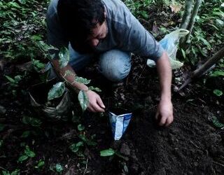 Estero: Laboratorio solidale