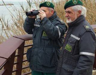 Gev in cerca volontari