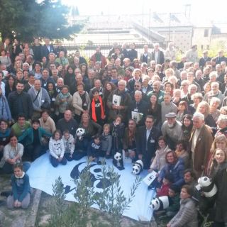 Wwf cerca volontari