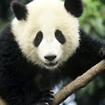 Settembre, tempo di trekking col Wwf