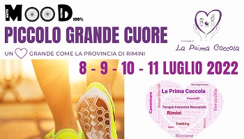 Piccolo grande cuore