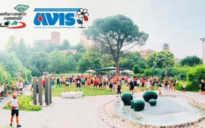Avis in festa