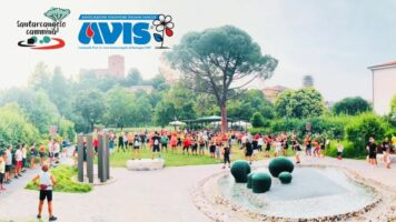 Avis in festa