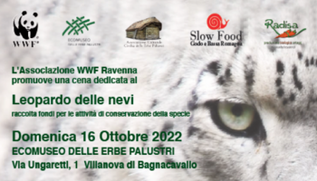 Cena insieme al Wwf
