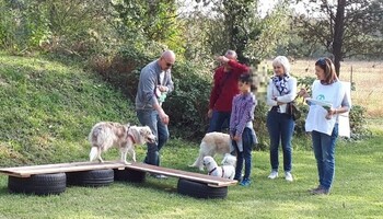 Caccia al tesoro a sei zampe