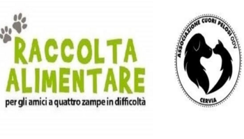 Amici a quattro zampe in difficoltà
