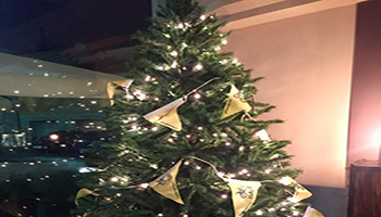 Fiab aperitivo di Natale