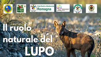 Il ruolo naturale del lupo