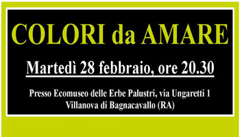 Colori da amare
