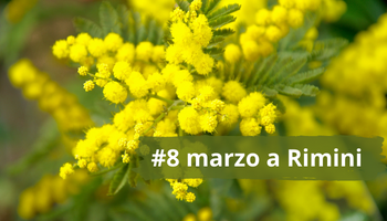 Otto marzo a Rimini
