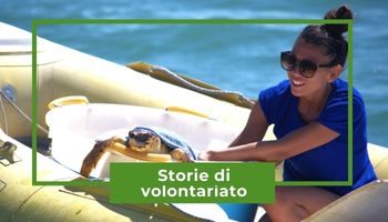 Un piccolo gioiello sull’Adriatico