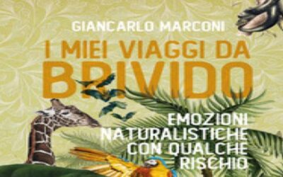 I miei viaggi da brivido