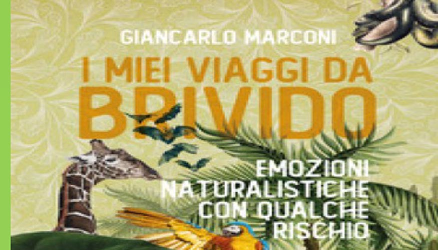 I miei viaggi da brivido